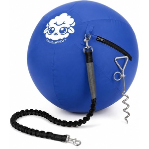 image:imageRaceampHerd 22 Herding Ball for Dogs Tetherball Set Outside OceanOcean