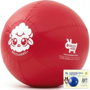 image:imageRaceampHerd 22 Original Herding Ball for Dogs  Balls for Dog Toys OceanCherry 22 Herding Ball Set