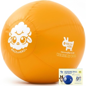 image:imageRaceampHerd 22 Original Herding Ball for Dogs  Balls for Dog Toys OceanGold 22 Herding Ball Set