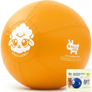 image:imageRaceampHerd 22 Original Herding Ball for Dogs  Balls for Dog Toys OceanGold 30 Herding Ball Set