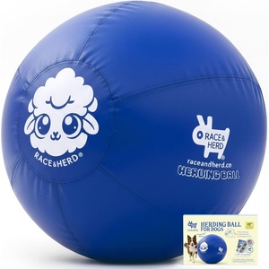 image:imageRaceampHerd 22 Original Herding Ball for Dogs  Balls for Dog Toys OceanOcean 22 Herding Ball Set