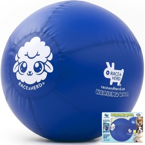 image:imageRaceampHerd 22 Original Herding Ball for Dogs  Balls for Dog Toys OceanOcean 25 Herding Ball Set