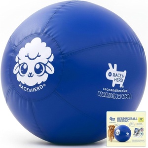 image:imageRaceampHerd 22 Original Herding Ball for Dogs  Balls for Dog Toys OceanOcean 30 Herding Ball Set