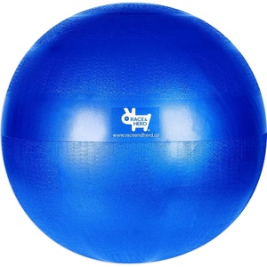 image:imageRaceampHerd Herding Ball Inner Replacement for Dogs Medium 25 Blue30 Replacement Inner Ball