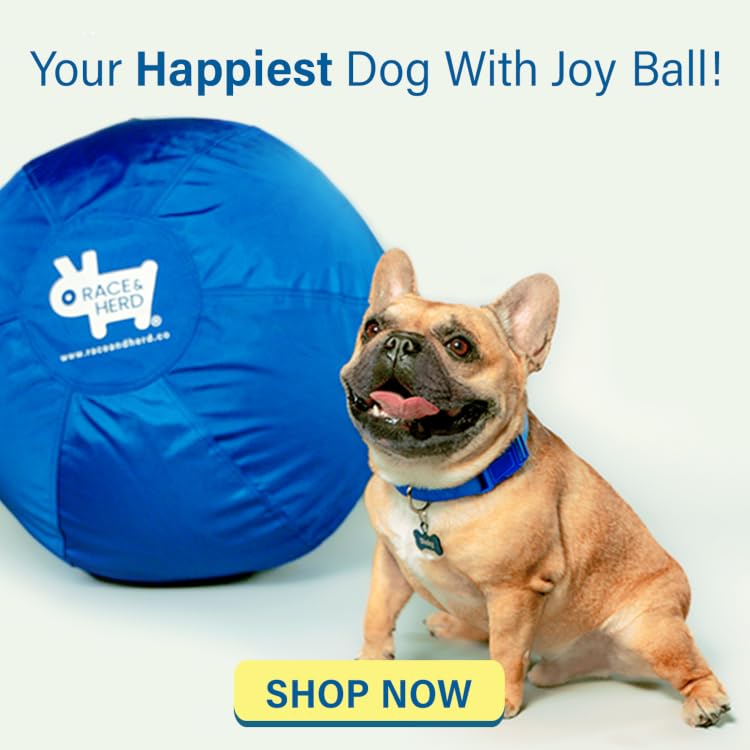 Race&Herd | Premium Interactive Dog Toys for Happier, Healthier Pets