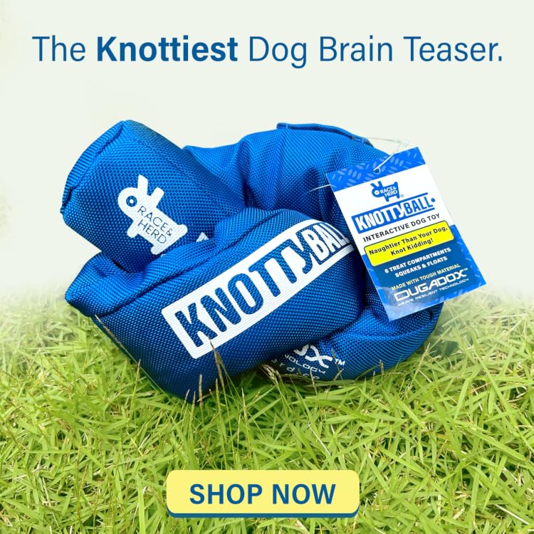 Race&Herd | Premium Interactive Dog Toys for Happier, Healthier Pets