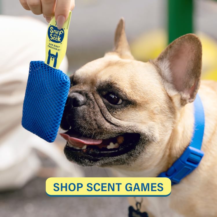 Race&Herd | Premium Interactive Dog Toys for Happier, Healthier Pets