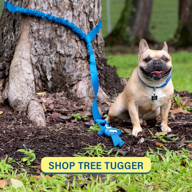Race&Herd | Premium Interactive Dog Toys for Happier, Healthier Pets