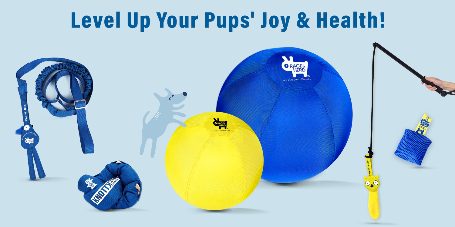 Race&Herd | Premium Interactive Dog Toys for Happier, Healthier Pets
